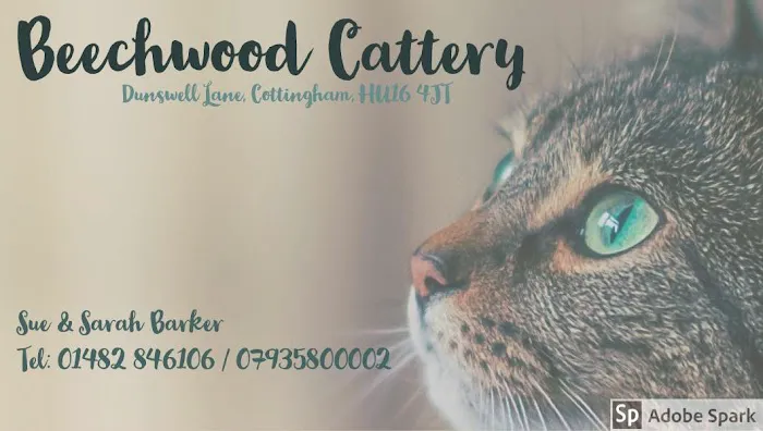 Beechwood Cattery Picture 2