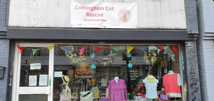 Beechwood Cattery Picture 1