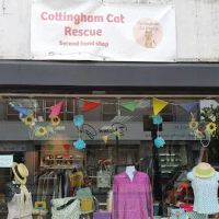 Beechwood Cattery ico