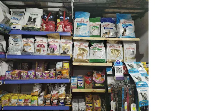 PANDA PETS LTD Picture 1