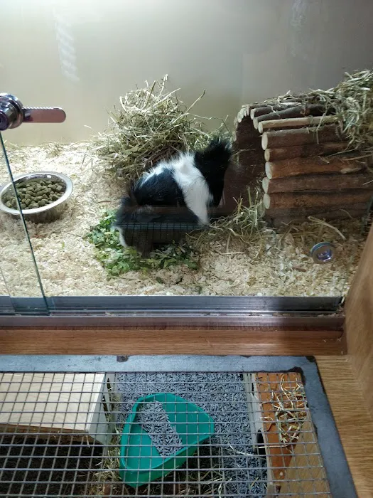 Pets at Home Colton Picture 1