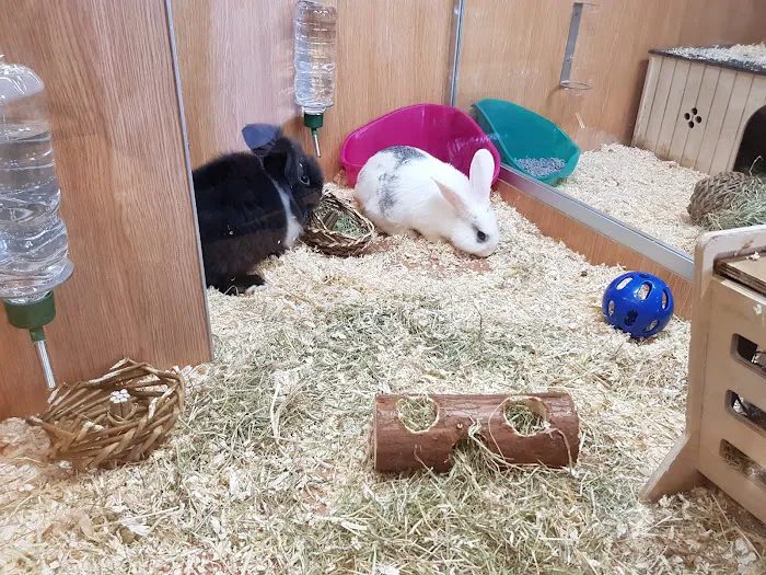 Pets at Home Colton Picture 6