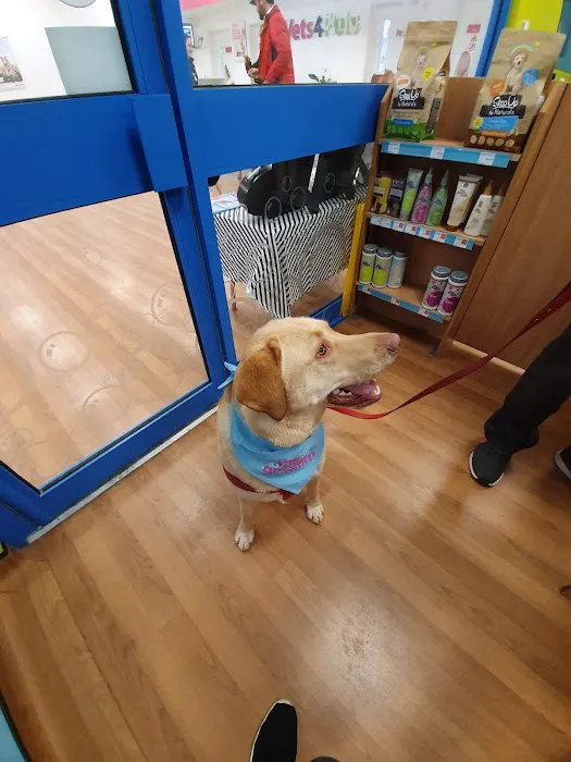 Pets at Home Colton Picture 4