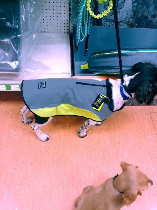 Pets at Home Colton Picture 10