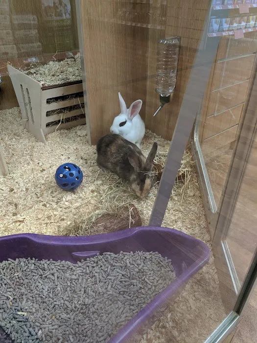 Pets at Home Hull Anlaby Picture 5