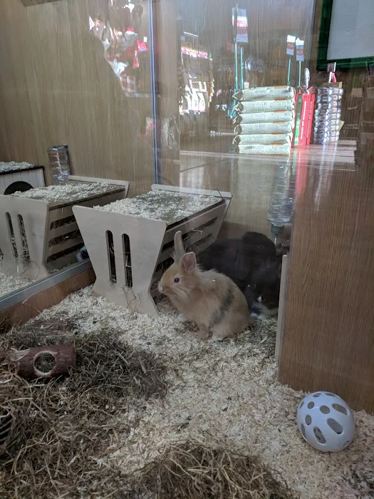 Pets at Home Hull Anlaby Picture 4