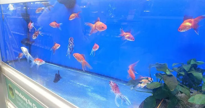 Pets at Home Hull Anlaby Picture 9