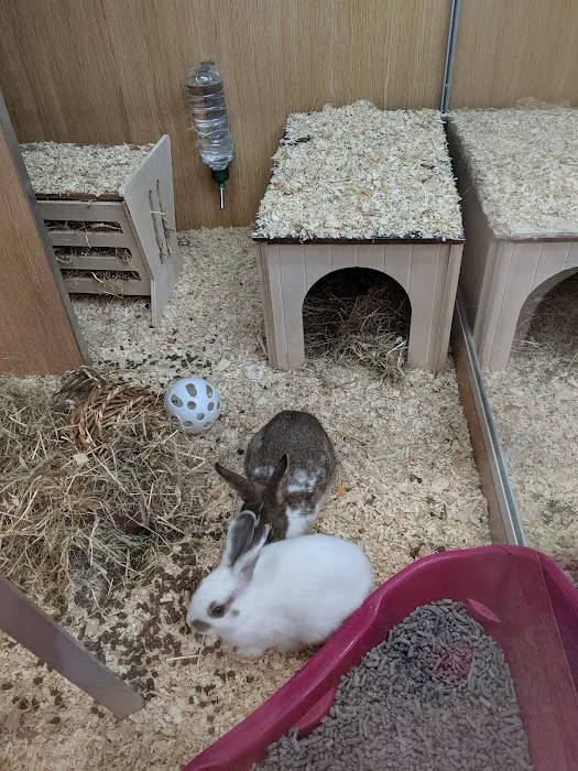 Pets at Home Hull Anlaby Picture 10