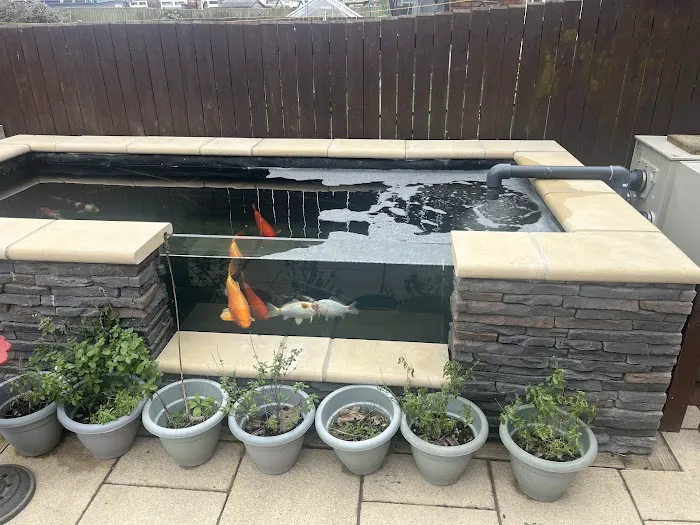 Greenwood Koi & Aquatics LTD Picture 10