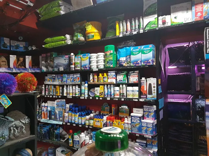 Frisby Aquatics Picture 2