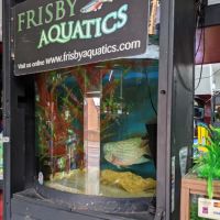 Frisby Aquatics ico