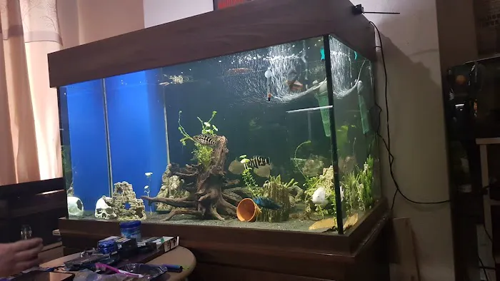 Frisby Aquatics Picture 6