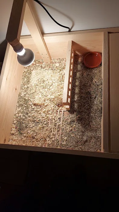 Happy Tortoise Habitat Picture 1