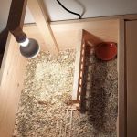 Happy Tortoise Habitat