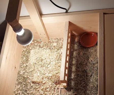 Happy Tortoise Habitat