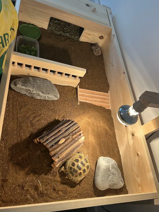 Happy Tortoise Habitat Picture 3