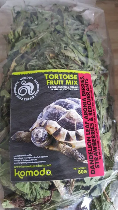 Happy Tortoise Habitat Picture 4