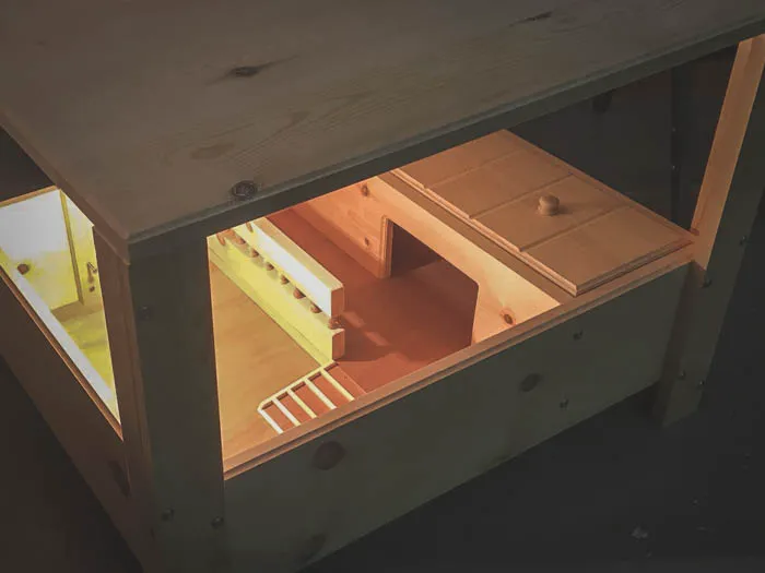 Happy Tortoise Habitat Picture 8