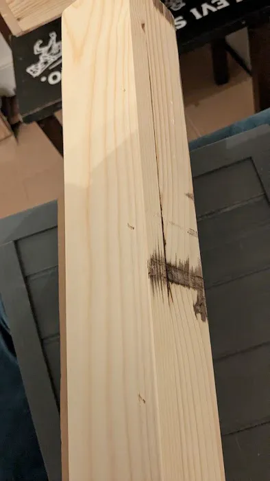 Happy Tortoise Habitat Picture 9