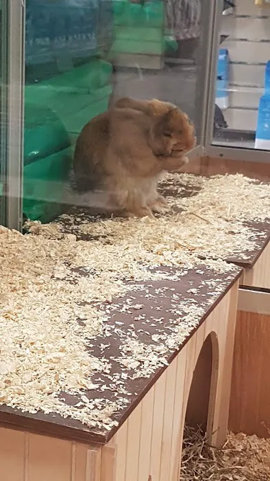 Pets at Home Hull Picture 1