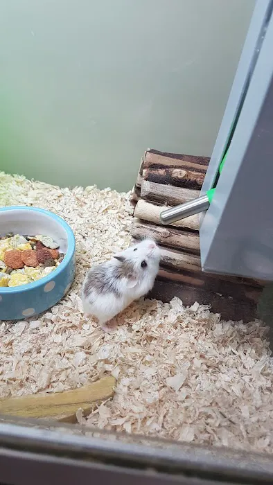 Pets at Home Hull Picture 6