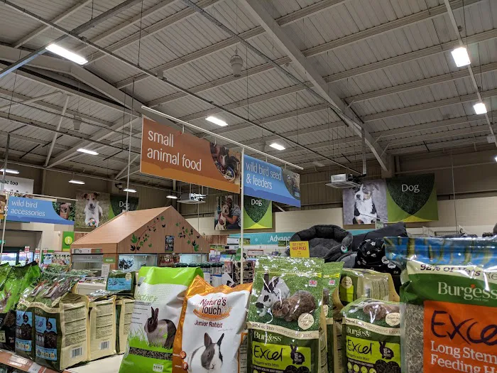 Pets at Home Hull Picture 9