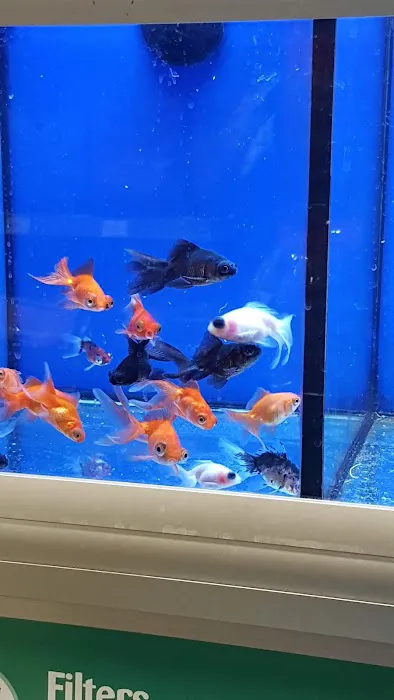 Pets at Home Hull Picture 7