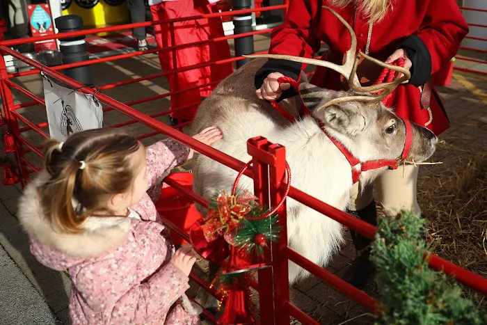 Jollyes - The Pet People Hull Picture 5