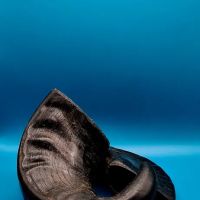 Kemp's Pet Supplies ico