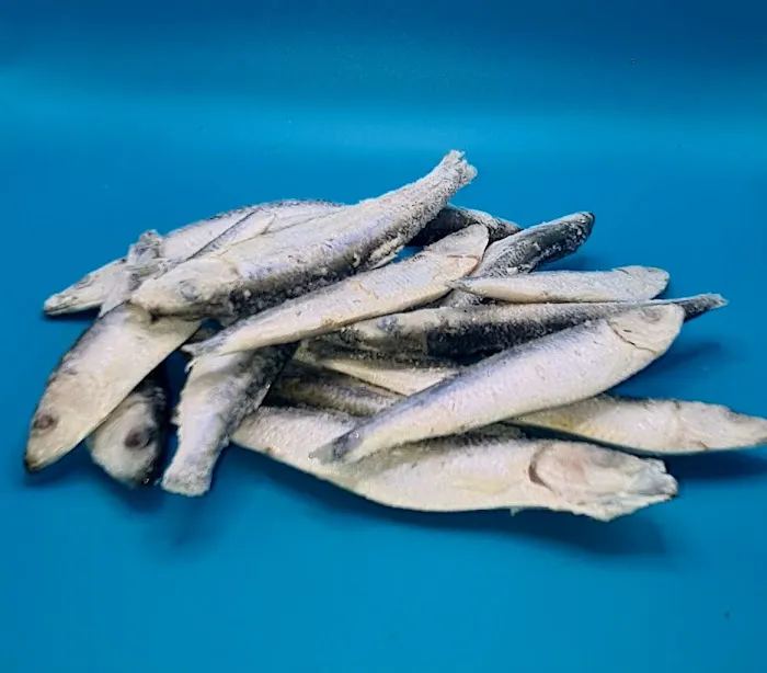 Kemp's Pet Supplies Picture 3