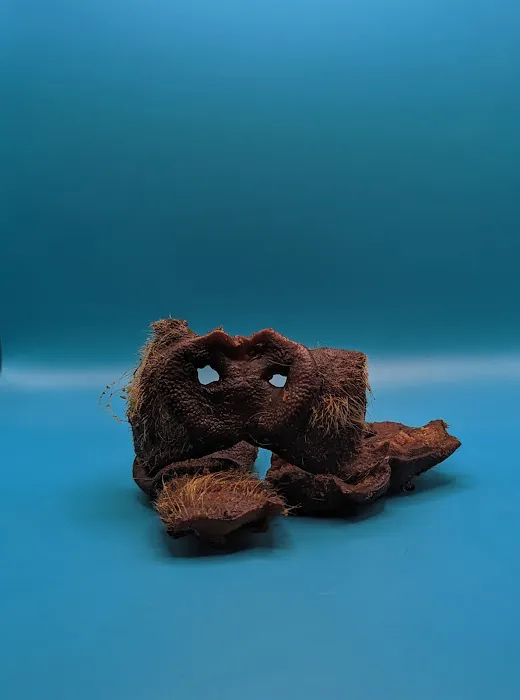 Kemp's Pet Supplies Picture 4