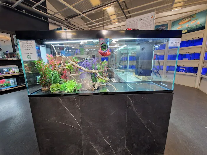 Maidenhead Aquatics Beverley Picture 2