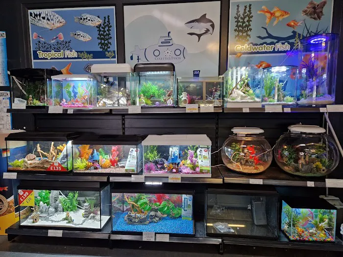 Maidenhead Aquatics Beverley Picture 3