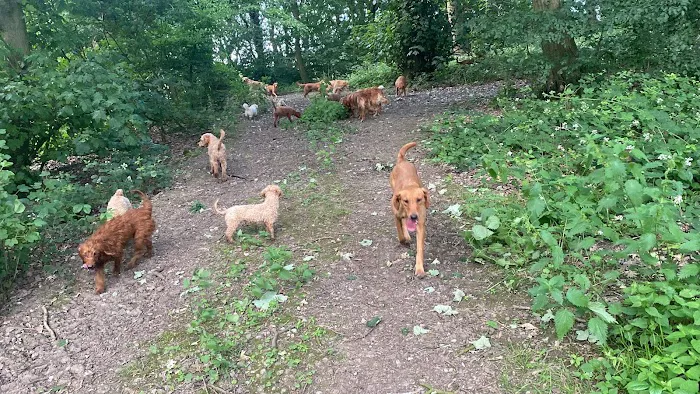 Tweed House Vets Picture 9