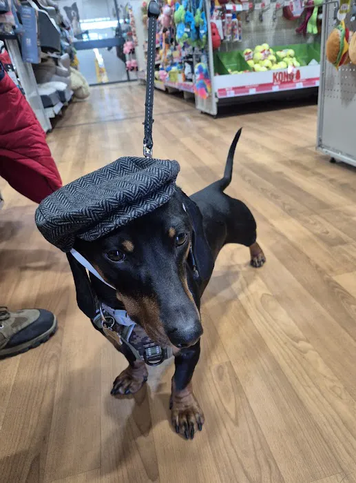 Pets at Home Sutton in Ashfield Picture 4