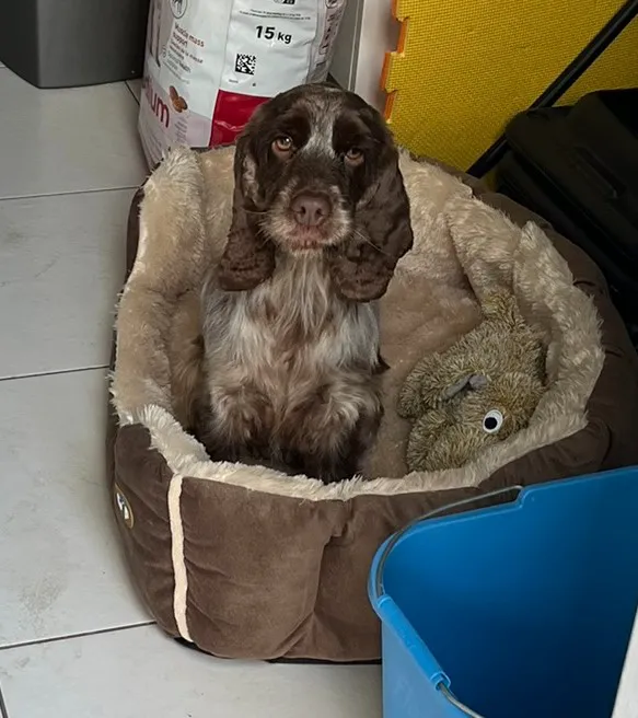 Taylors Corn Stores Picture 1