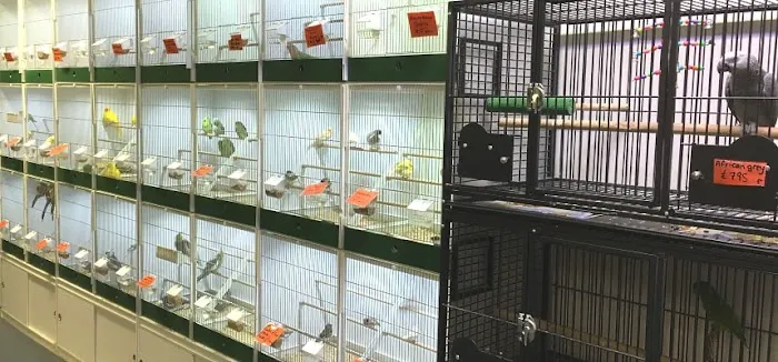 Urban Exotics Picture 1