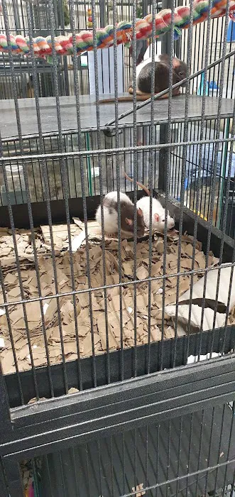 Urban Exotics Picture 5