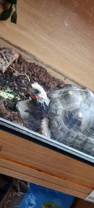 Urban Exotics Picture 7