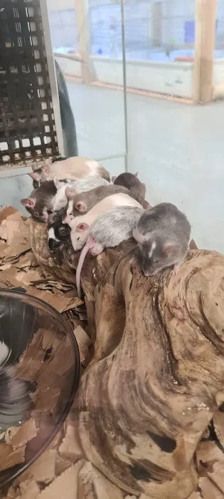 Urban Exotics Picture 9