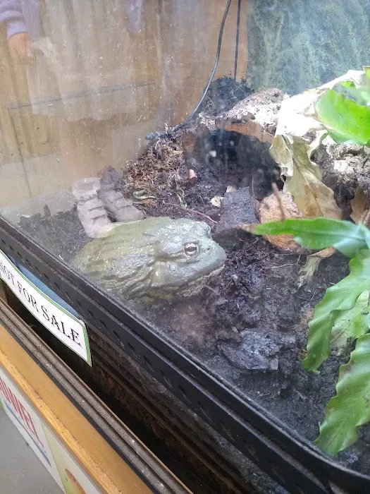 Urban Exotics Picture 8