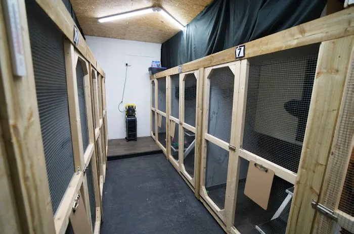 Station House Cattery Picture 1