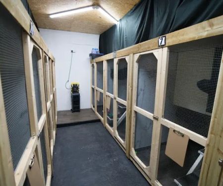 Station House Cattery