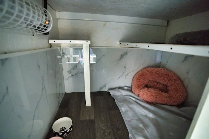 Station House Cattery Picture 7