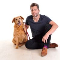 White Cross Vets ico