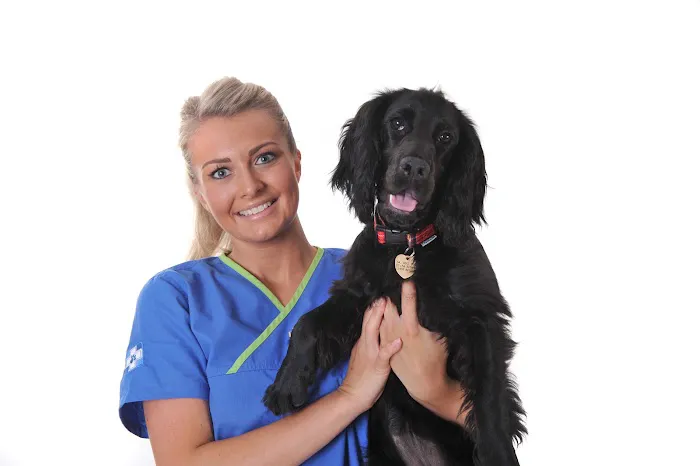 White Cross Vets Picture 4