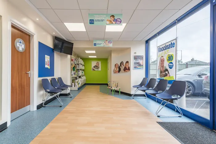 White Cross Vets Picture 5