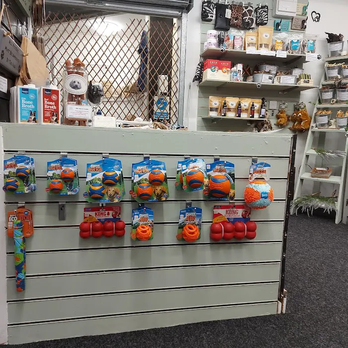 Nature Emporium Leeds Picture 5