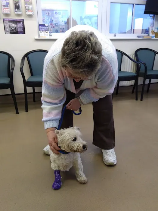 Medivet Horncastle Picture 1