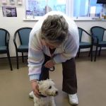 Medivet Horncastle